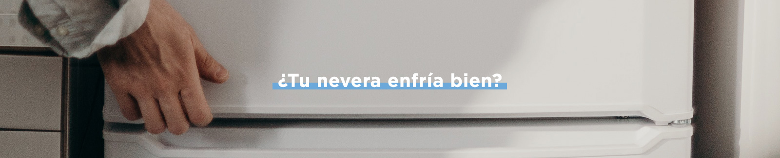 Cajas de nevera ¿Cuáles son las mejores? Consejos y recomendaciones