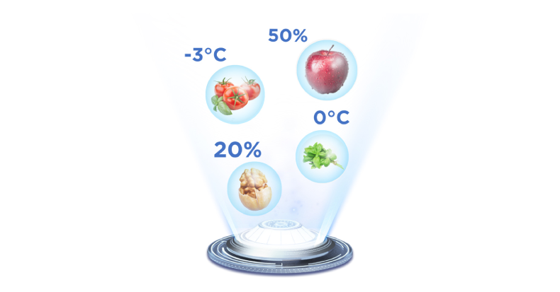 Moist Crisper