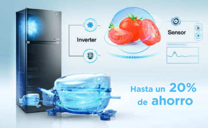 MIDEA Frigorífico Combi No Frost 60 cm ancho x 188 cm Blanco - Nevera combi  libre instalación 224 L + 86 L Congelador - Refrigerador de bajo consumo